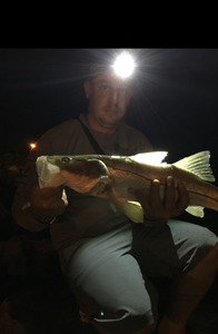A person fishing in Palm Bay