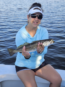 Spotted Weakfish, 17 inches, caught while fishing in Palm Bay