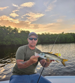 A lone snook fish caught in Palm Bay