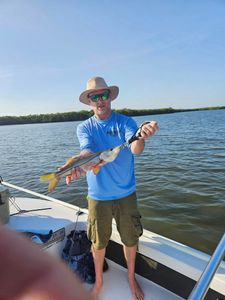 Snook fish caught in Palm Bay