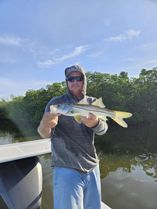 Snook fish caught in FL