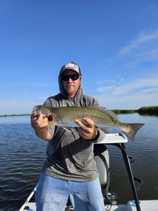 Spotted Weakfish caught while fishing in FL