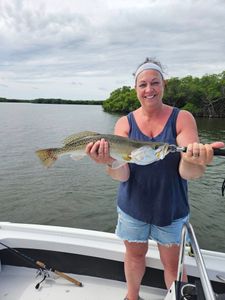 Spotted Weakfish, 22 inches long, caught while fishing in FL