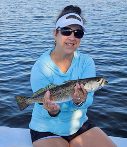 Spotted Weakfish, 16-inch fish caught while fishing in Palm Bay