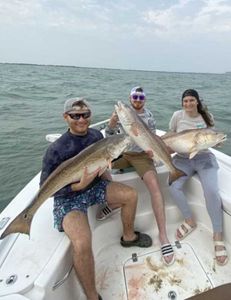 3 bluefish caught in TX
