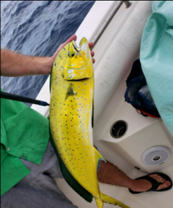 Fishing adventure in TX