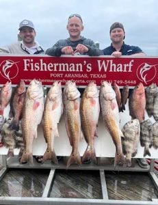 Seven vibrant, big fish caught during a fishing tour in Port Aransas