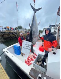 Best catch of a lone fish in Maine