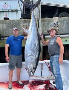 Blackfin tuna fish caught while fishing in Maine