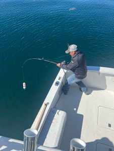 Fisherman with great catch in ME