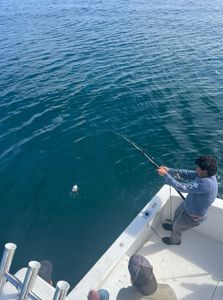 Angler fishing in Maine