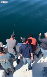 Scenic landscape of Maine with fishing gear