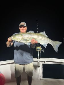 Angler with one big fish caught in ME