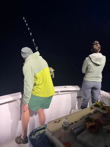 Scenic view of South Portland