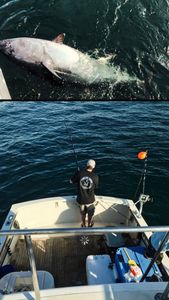 Scenic fishing trip in Maine