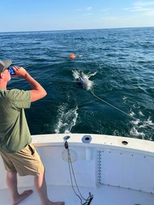 South Portland scenic fishing trip