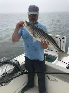 Striped bass caught while fishing in South Portland