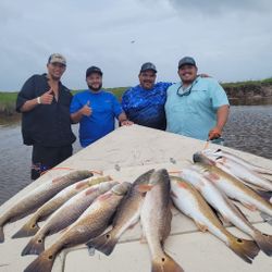 Reeled In Plenty of Redfish in Corpus Christi, TX