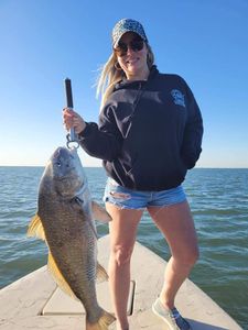 Beautiful Black Drum in Corpus Christi