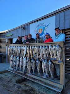 6 anglers fishing in Corpus Christi, with 6 large fish caught