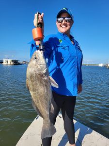 A person fishing for a big black drum fish in TX