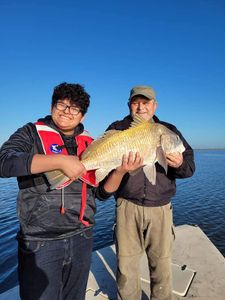 A 16-inch black drum caught in Corpus Christi, Texas
