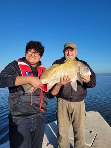Black Drum fish caught during fishing in TX