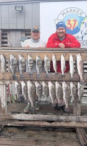 18 redfish, black drum, and spotted weakfish caught in Corpus Christi