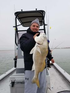 Redfish caught while fishing in Corpus Christi