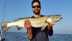 Spotted Weakfish measuring 32 inches caught in TX