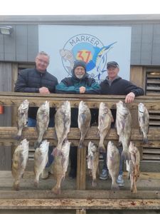 10 black drum fish caught in TX