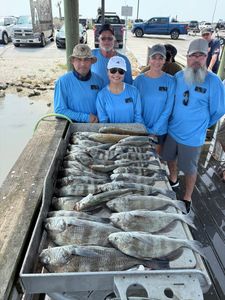 Large catch of black drum fish displayed in cleaning station box in Corpus Christi TX