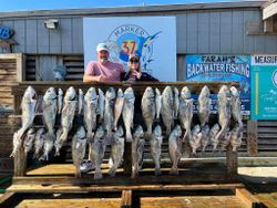Caught 17 black drum fish in Corpus Christi