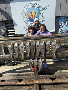 Black Drum bonanza! Ten beauties blasted today in Corpus Christi!