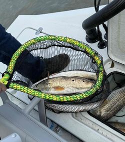 Scenic view of Corpus Christi coastline