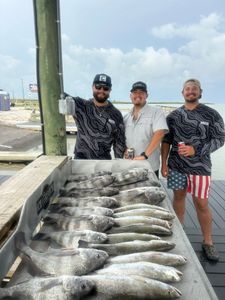 Fishing catch of Black Drum and Speckled Trout displayed on boat dock in Corpus Christi TX