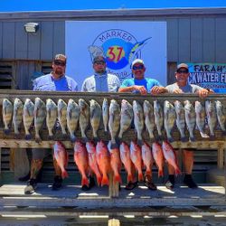 18 fish caught in Corpus Christi during fishing trip