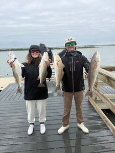Four redfish caught during fishing trip in Corpus Christi TX displayed on wooden dock