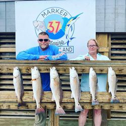 Six redfish displayed on wooden dock railing at fishing marina in Corpus Christi TX