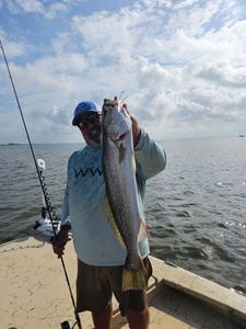 Large speckled trout caught fishing in Corpus Christi TX waters