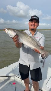 Speckled trout catch from Corpus Christi TX fishing trip on boat