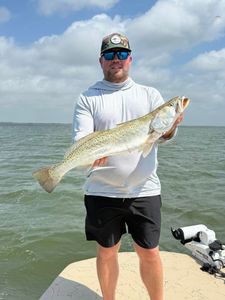 Speckled trout catch from Corpus Christi TX fishing trip
