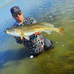 Speckled trout catch from Corpus Christi TX fishing trip