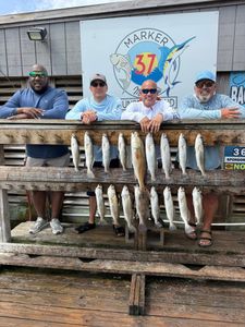 Speckled trout fishing catch displayed on wooden dock in Corpus Christi TX