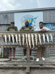 Successful fishing trip displaying 13 speckled trout and redfish caught in Corpus Christi TX