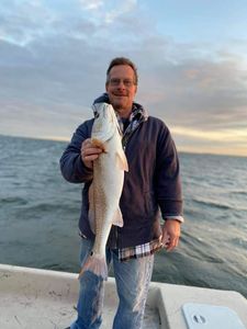 Redfish caught by angler in Corpus Christi