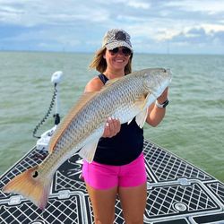 Redfish caught in Corpus Christi