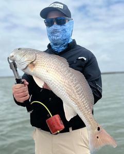Redfish measuring 21 inches caught while fishing in Corpus Christi
