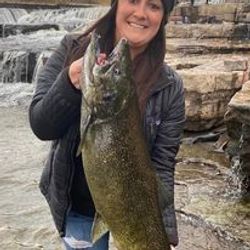 Lake Ontario's hidden Trout treasures.