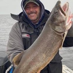 Trout's grace in Lake Ontario's depths.